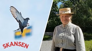 Skansen berättar – Varför firar vi Sveriges nationaldag den 6 juni [upl. by Olraced]