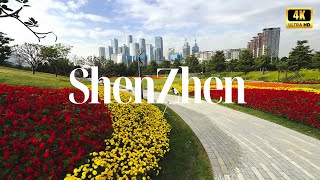 Shenzhen 2024 Explore the Citys Splendor Culture  Urban Walk  CityWalk  4K HDR [upl. by Rains]