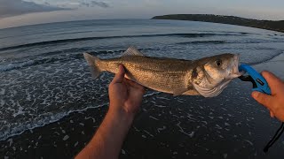 Topwater Bass at Laxey🎣🎣🇮🇲🇮🇲 [upl. by Ecenaj475]