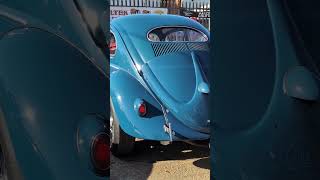 1956 VW Oval Windowed Beetle [upl. by Apilef469]