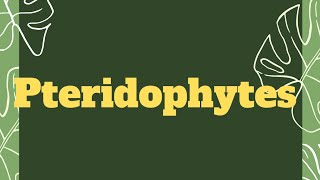 Pteridophytes।pteridophyta neet biology [upl. by Fagaly]