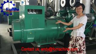 125kva cummins diesel generator price generator transfer switch best electric generator [upl. by Haroppizt760]