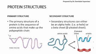 Chapter 23 Biological Molecules  Proteins [upl. by Ernest497]