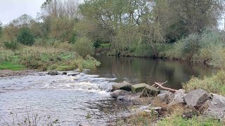 Oakenshaw and the River Wear with iWalks NE 92 miles  a relaxing one [upl. by Randall566]