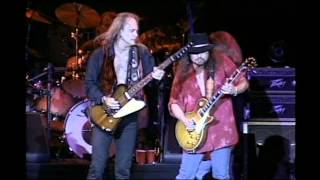 Lynyrd Skynyrd  Simple Man Lyve From Steel Town [upl. by Hueston71]