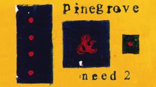 Pinegrove  Need 2 [upl. by Avehs]