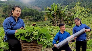 Tarpaulin strips cover beds to grow watermelons and harvest squash for the market [upl. by Schott915]