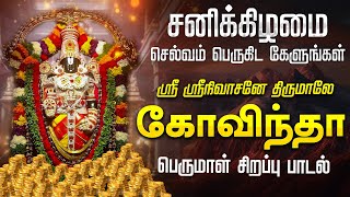 🔴LIVE SONGS  சனிக்கிழமை பெருமாள் சிறப்பு அபிஷேக தரிசனம் ஸ்ரீநிவாசா கோவிந்தா ஸ்ரீ வெங்கடேசா கோவிந்தா [upl. by Persons]