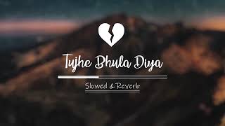 Tujhe Bhula Diya Slow and reverb SongMost Amazing sad song [upl. by Ynnor]