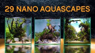 TwentyNine Of the Best Nano Aquascapes In America [upl. by Chase]