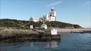 Puffin Cruise Amble Northumberland [upl. by Crescin89]