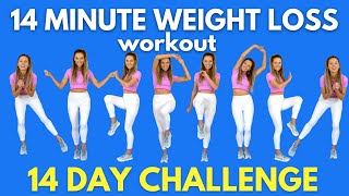 Weight Loss Workout  14Minute Workout at Home  Do this for 14 days  All Standing Moves [upl. by Ellehcram]