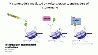 Deciphering Cancer The Intersection of Epigenetics Metabolism and Tumorigenesis [upl. by Ymassej372]