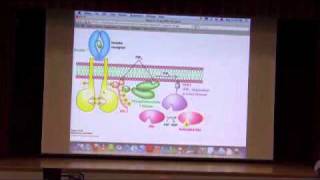 Signaling III  Metabolic Control I [upl. by Nalda]