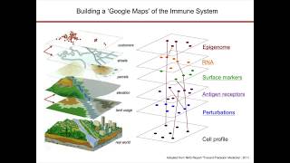 SingleCell Genomics in Checkpoint Blockade and CART Cell Immunotherapy [upl. by Acimak]