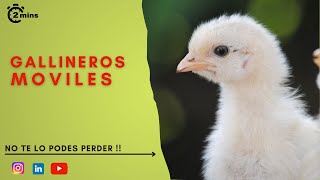 Gallinero para gallinas felices en pastoreo ideal para superfices chicas a medianas 2023 🐔 [upl. by Bendix]