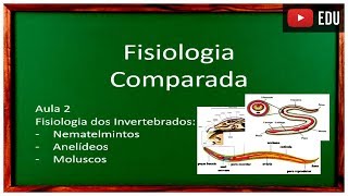 Aula 2 Fisiologia Comparada [upl. by Trenna]