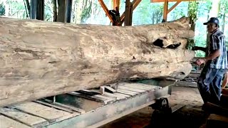 Transforming the Wood of a Large Ancient Tree into an Amazing and Very Beautiful Material  sawmill [upl. by Leummas]