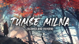 Tumse Milna Slowed and Reverb SAR Musics [upl. by Assirek]