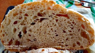 PANE FACILISSIMO FATTO IN CASA il pane con gli alveoli grandi di videoricetteinsieme [upl. by Arhsub]