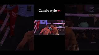 Knockout  Canelo Alvarez [upl. by Kristoforo]