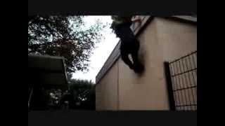 Parkour 95 2013 [upl. by Meir332]