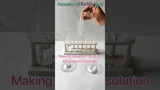 Formation of Barium Sulphate ppt  science class10 double displacement reaction [upl. by Camilia]