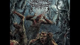 Delusional Parasitosis  Ingurgitating Intestinal Rot Full Album [upl. by Samul859]