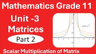 2 Maths Grade 11 Unit 3 Matices  Part 2 Scalar Multiplication of Matrices  New Curriculum [upl. by Raleigh]