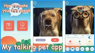 My talking Pet APP Tutorial amp Review [upl. by Yeclek]