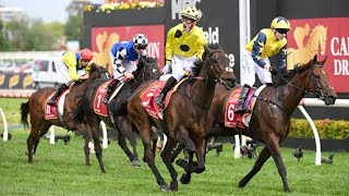 Melbourne Cup 2023  Everything you need to know 1 week out in 4 minutes and 33 seconds [upl. by Stedt]