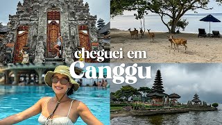 Descubra Canggu Vlog em Bali com Hotéis e Beach Clubs Incríveis [upl. by Bearce]