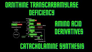 USMLE Step 1  Lesson 64  Ornithine Transcarbamylase Deficiency Amino Acid Derivatives [upl. by Crescentia]