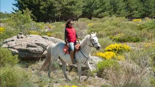 RUTAS A CABALLO POR GREDOS [upl. by Gusta526]