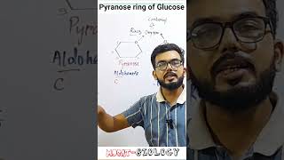 Pyranose of glucose MDCAT Biology lectures [upl. by Read183]