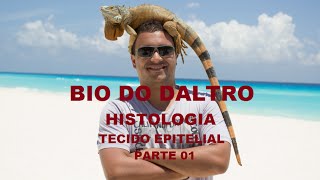 HISTOLOGIA  TECIDO EPITELIAL  PARTE 01 [upl. by Mccord]