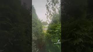 suratannahl quran shorts alhamdhulillah subhanallah nature rain tranquility islam quran [upl. by Shelman759]