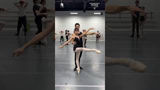 LINES ballerina dance ballerinas ballet dancer balletdancer ballerinadance viral fy [upl. by Haily700]