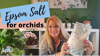 5 Reasons Why Epsom Salt Perfect for Orchids [upl. by Gudren282]