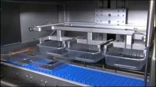 Tramper D360  standalone denester for placing trays on a conveyor belt [upl. by Yecnuahc]