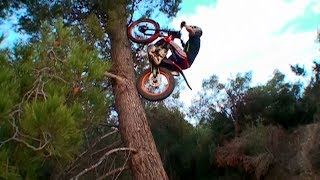 Bike Trial Stunts ⭐ 2024 [upl. by Edya329]