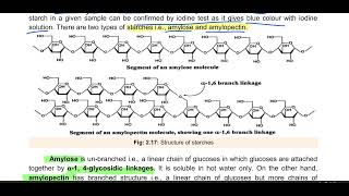 Polysaccharides Starch Glycogen Cellulose Chitin 11th biology biology carbohydrates molecule [upl. by Callean]