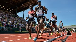 Best of 5000m  IAAF Diamond League 2014 [upl. by Kizzee]