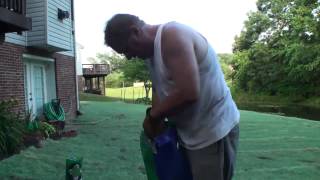 Compadre Zenith Zoysia grass Seed vs Plugs Part 2 How to plant seeds Maryland area [upl. by Yvonner]