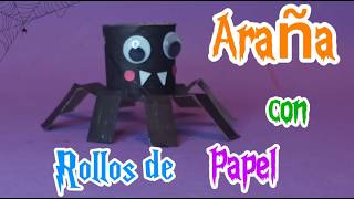 Araña con Rollo de Papel [upl. by Notnroht]