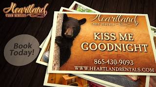 Gatlinburg Cabin Rentals  quotKiss Me Goodnightquot  1 bedroom  Pet Friendly [upl. by Vevina765]