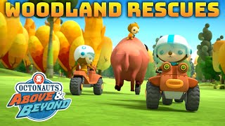 Octonauts Above amp Beyond  🌲 Woodland Rescues ⛑️  Compilation  Kidzuko​ [upl. by Dnomayd]