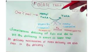 Folate trap  quick revision [upl. by Maegan]