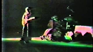 Pink Floyd The Wall Live 1980  In The Flesh audio HD [upl. by Hanauq]