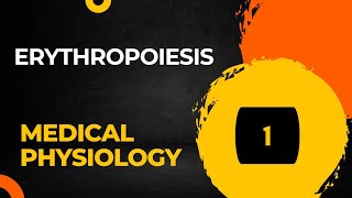 Erythropoiesis Red Blood Cell Formation Part 1  Hematology [upl. by Koy469]